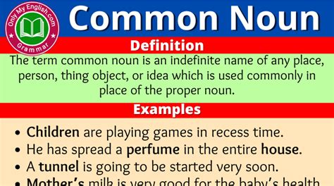 Common Noun Definition Examples And List Of Words