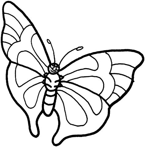 Pic Of Butterfly Simple In Black N White For Colouring For Kindergarten