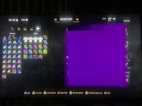 Does anyone else get this while in inventory menu? (Running on ps5