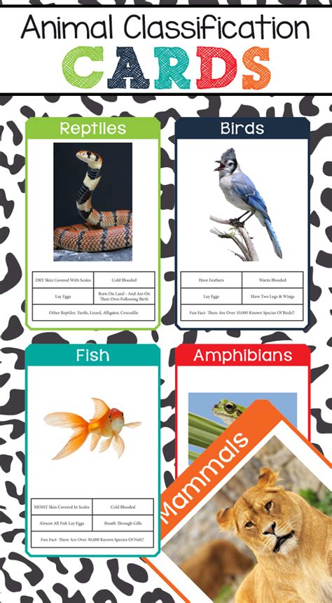 Animal Classification Cards One Beautiful Home