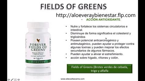 Elle est cultivée pour sa richesse en protéines (allant jusqu'à 55 %). Clorofila y Fibra | Fields of green Dr Juan Canelon - YouTube