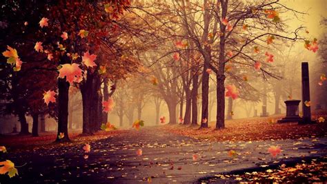 Yearning Nostalgia Autumn Leaves Big Screen Material Background
