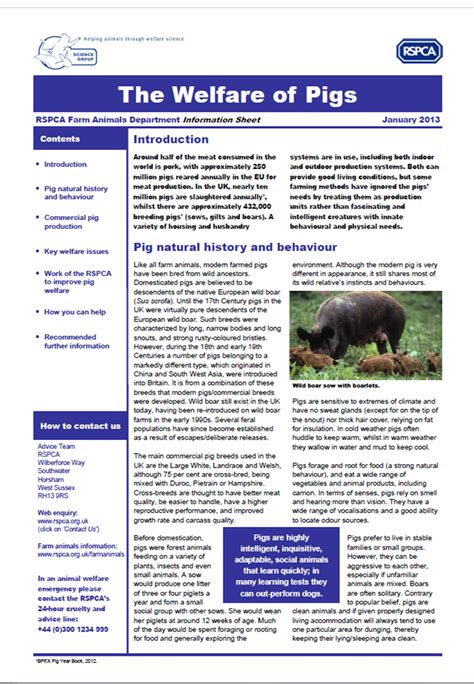 Farm Health Online Animal Health And Welfare Knowledge Hub Pig