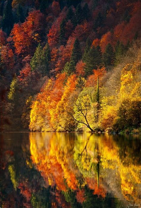 1659 Best Fall Images On Pinterest Seasons Of The Year