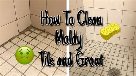 How To Clean Mold From Shower Tile And Grout Super Satisfying Clean