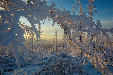 Masaüstü Kış Doğa Kar Manzara Ağaçlar 2000x1333 Wallpapermaniac