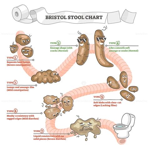 Bristol Stool Chart With Excrement Description And Types Outline Diagram Vectormine