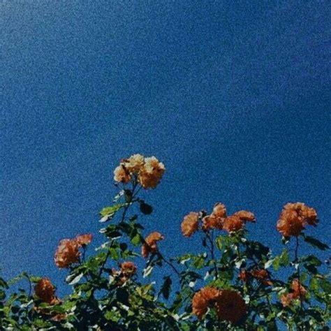 Pin By Vic On Random Aesthetic Pictures Blue Aesthetic