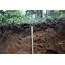 New Research Unravels The Mysteries Of Deep Soil Carbon