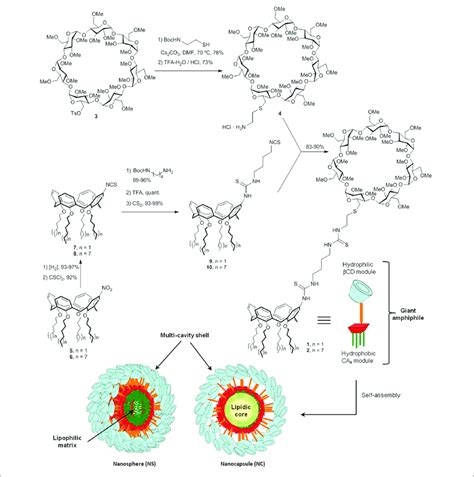 Synthesis of the CA βCD giant surfactants and schematic Download Scientific Diagram