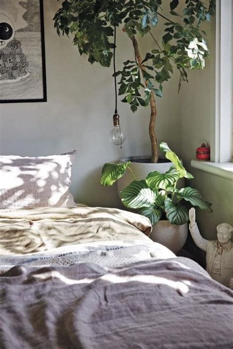 12 Amazing Plants Ideas In Bedroom Decor Indoor Plants Bedroom