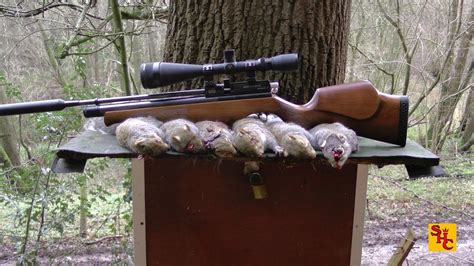 When it comes to finding an air rifle that is right for you, the more you spend does not always guarantee you a superior product. Pest Control with Air Rifles - Squirrel Shooting - Return ...