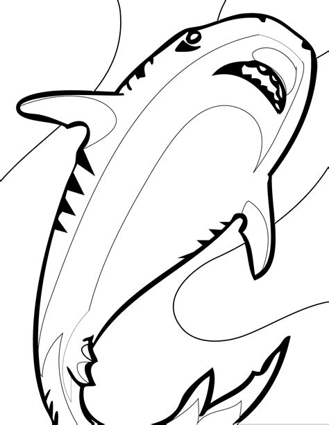 Bull Shark Coloring Page At Getdrawings Free Download