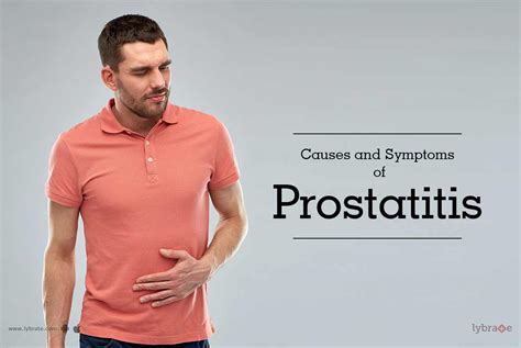 Causes And Symptoms Of Prostatitis By Dr Shalabh Agrawal Lybrate