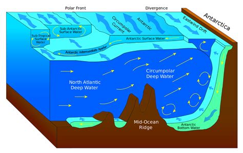 Surface Ocean Currents Lesson Tqa Explorer