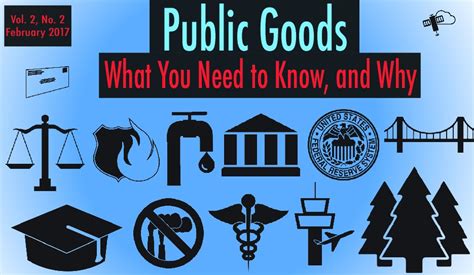 Understanding Public Goods International Liberty
