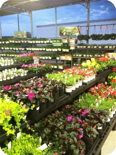 Garden Center at Walmart | Paisajismo | Pinterest
