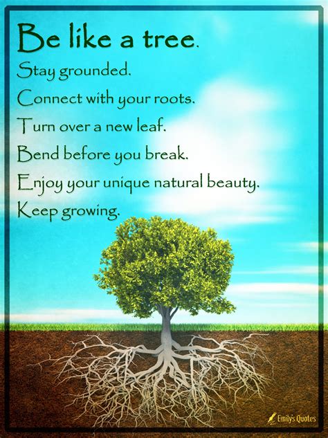 Life Meaning Quotes Tree Of Life Quotes Tree Of Life Meaning Life
