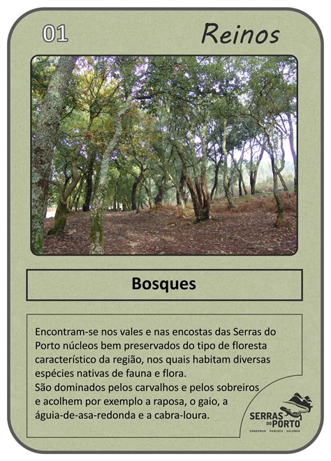 Check spelling or type a new query. Biblioteca/Galeria | Parque das Serras do Porto