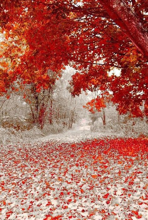 Winter And Fall Meet Each Other First Snow Fall In Minnesota Yesterday