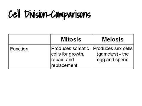 Mitosis And Meiosis Webquest Key Mitosis Meiosis Web Quest Meiosis