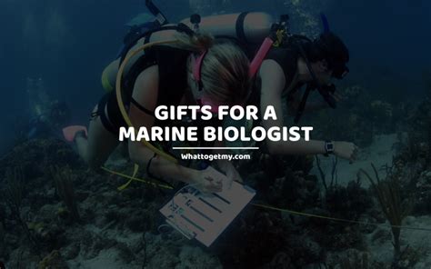7 Perfect Ts For A Marine Biologist What To Get My