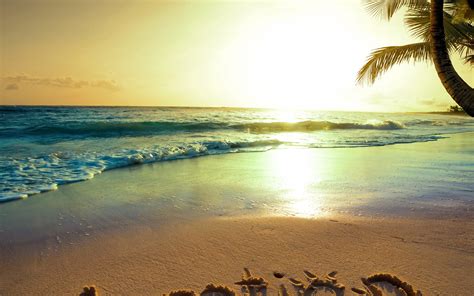 Palm Tropical Blue Ocean Emerald Summer Paradise Sand Coast