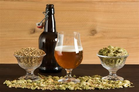 Understanding The 4 Main Ingredients Of Beer The Growler Guys