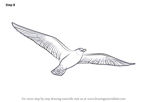 Learn How to Draw a Flying Bird (Birds) Step by Step : Drawing Tutorials
