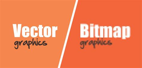 The Difference Between Vector And Bitmap Graphics