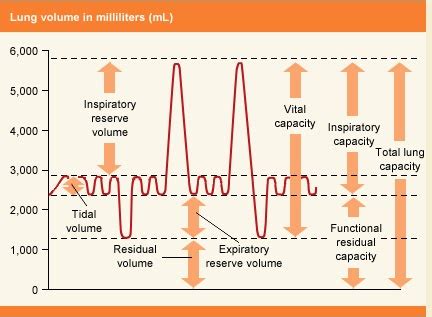 Medical Star99.blogspot.com: Changes in volume