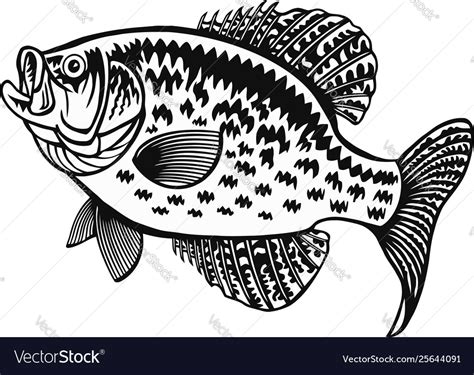 Crappie Fish Svg Free 365 Crafter Files Free Svg Cut Files