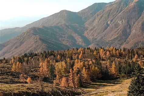 Velika Planina Una Meta Romantica In Slovenia Come Organizzare La Gita