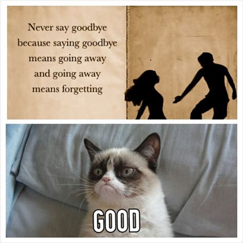 Tard Goodbye Grumpy Cat Meme Cat Memes Grumpy Kitty Manx Cat Sphinx