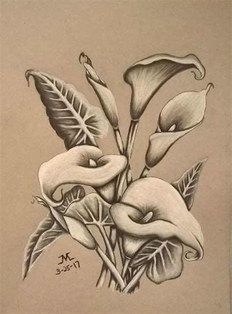 Charcoal Drawing Of Calla Lilies Lilies Drawing Flower Art Drawing