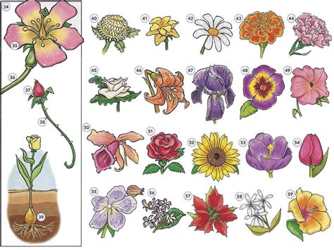 My favourite flower quotes and verses. Trees plants and flowers vocabulary PDF | Flower names ...