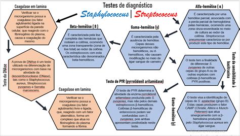 Mapa Mental Microbiologia Clinica Farmacologia I The Best Porn Website