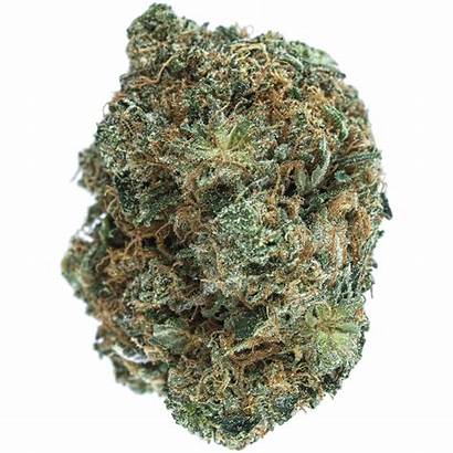 Death Pink Indica Mmjdirect Cannabis Pure Thc