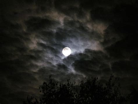 Moon Moonlight Night Free Photo On Pixabay