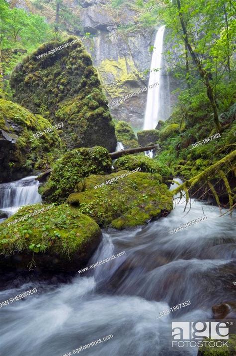 Elowah Falls Columbia River Gorge Oregon Usa Stock Photo Picture