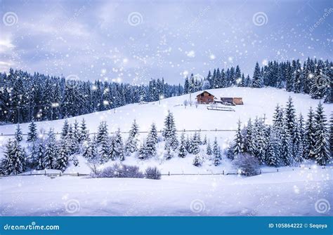 Christmas Winter Landscape Stock Photo Image Of Decoration 105864222