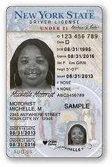 Fake Security License Photos