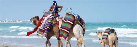 Find dit ideelle boligalternativ i vores bibliotek. Djerba: Günstige Ferien buchen - ITS Coop Travel