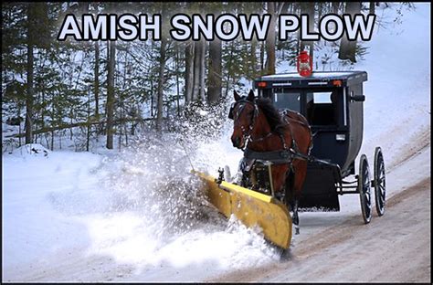 Amish Snow Plow Amish Humor Pinterest Snow Plow Snow And Amish
