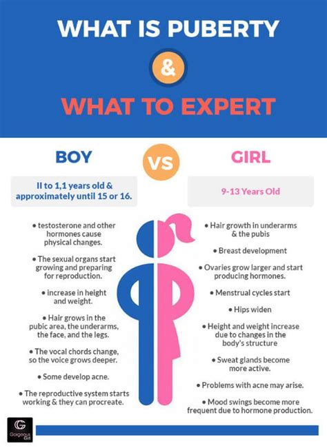 What Is Pubriety And What To Expect For The Boy Or Girl In This Graphic