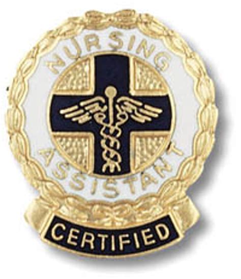 Nurse Nursing Graduation Emblem Lapel Pins