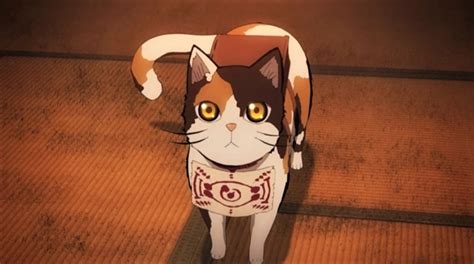 15 Best Anime Cats In 2024 Ranked Beebom