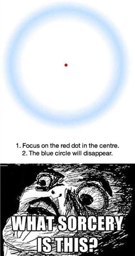 Memes Continuing Optical Illusions Funny Mind Tricks Illusions