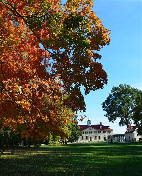 mount vernon is a gorgeous location to snap pretty fall pics washingtonian fall pictures fall