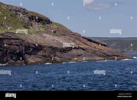 Cliffs At Witless Bay Avalon Peninsula Newfoundland Stock Photo Alamy